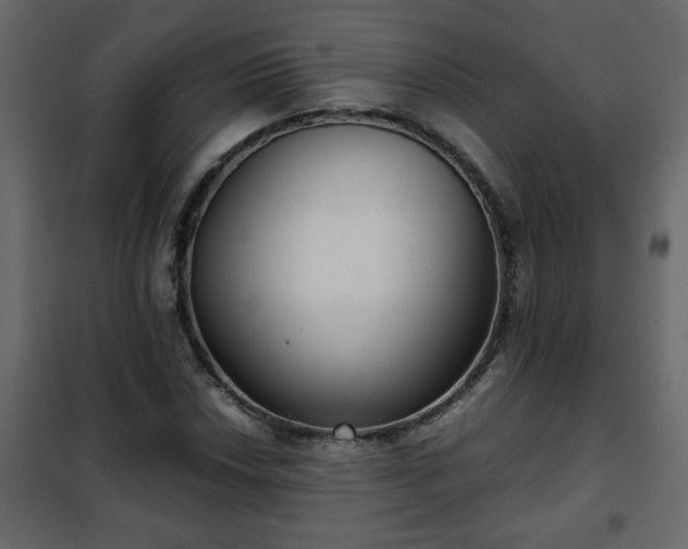 X0000102341018200808081126