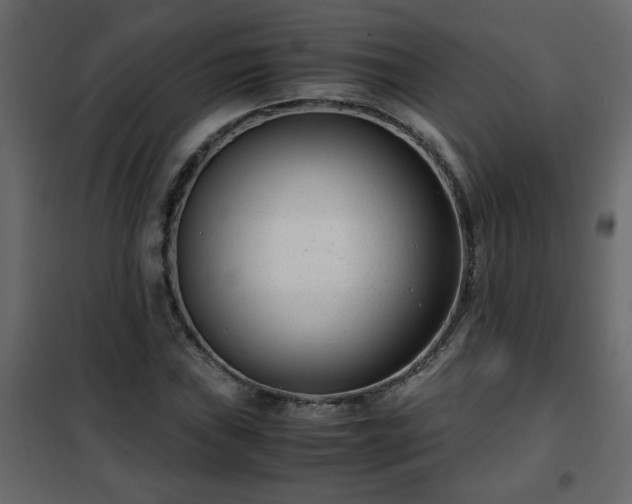 X0000102341019200808081126