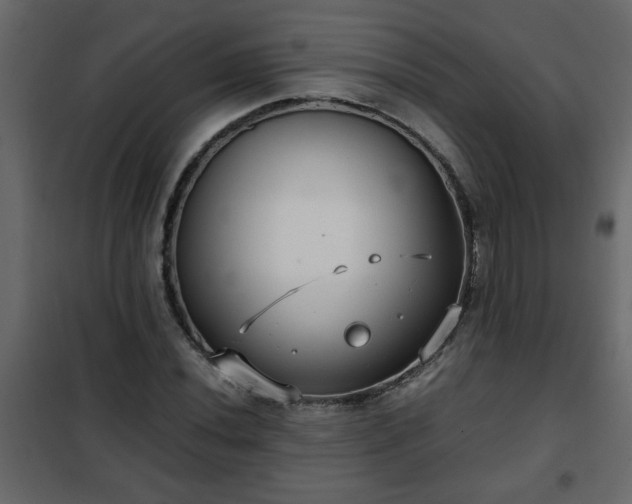 X0000102341020200808081126