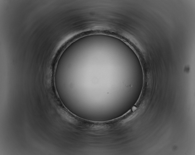 X0000102341021200808081126