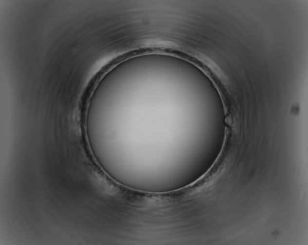 X0000102341022200808081126