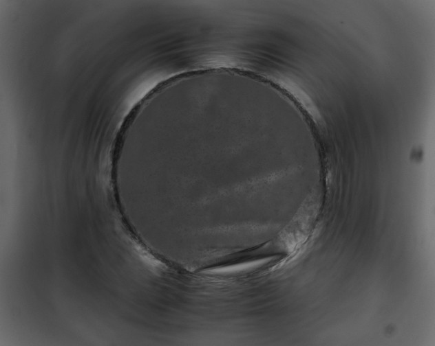 X0000102341023200808081126