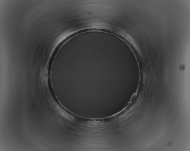 X0000102341024200808081126