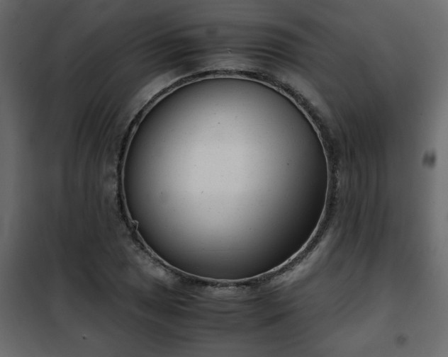 X0000102341025200808081126