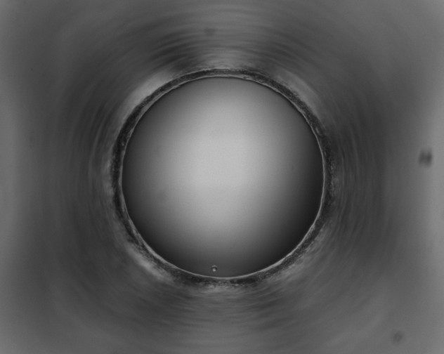 X0000102341026200808081126