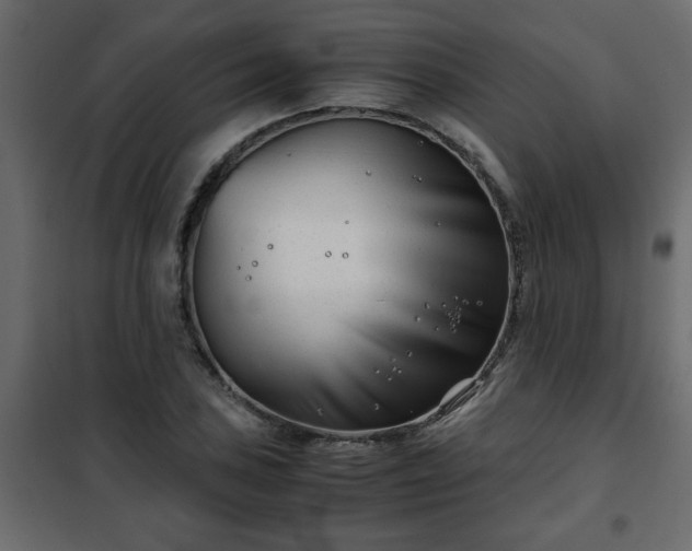 X0000102341027200808081126