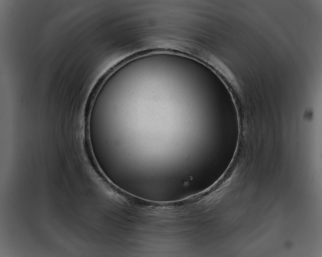 X0000102341028200808081126