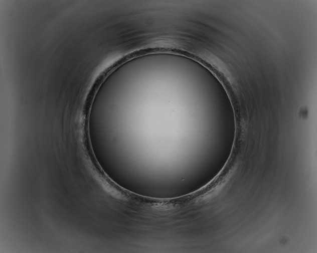 X0000102341029200808081126