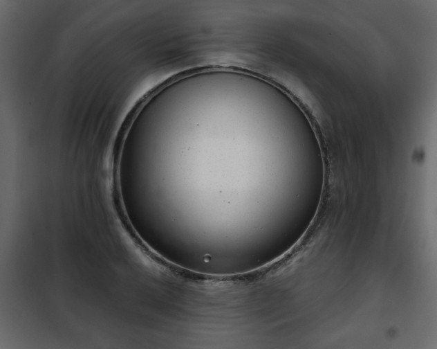 X0000102341032200808081126