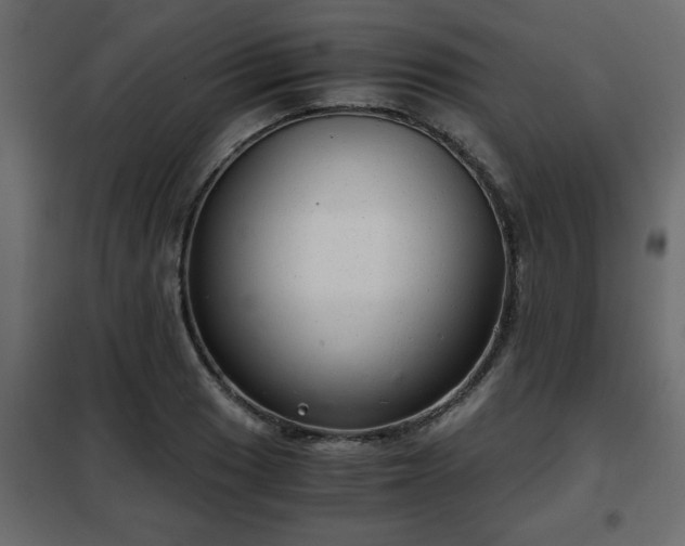 X0000102341033200808081126