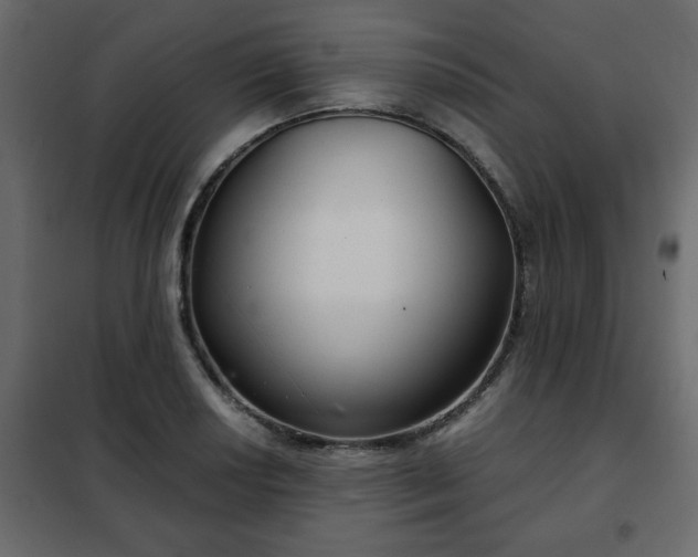 X0000102341034200808081126