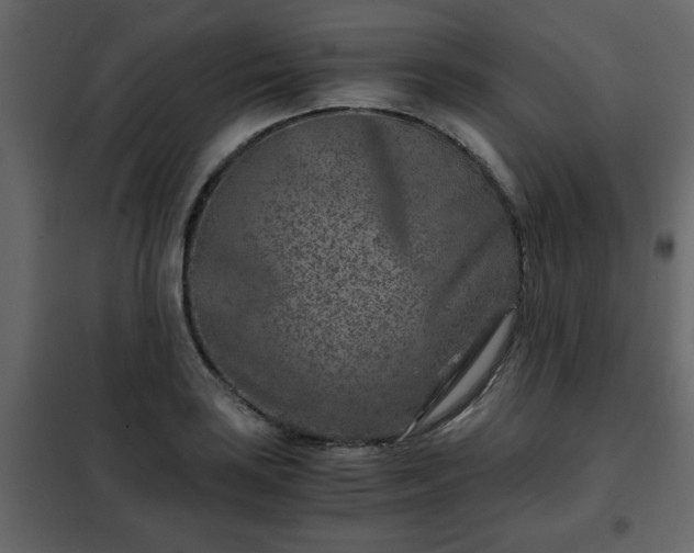 X0000102341035200808081126