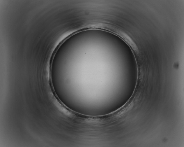 X0000102341036200808081126