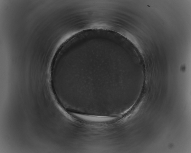 X0000102341037200808081126