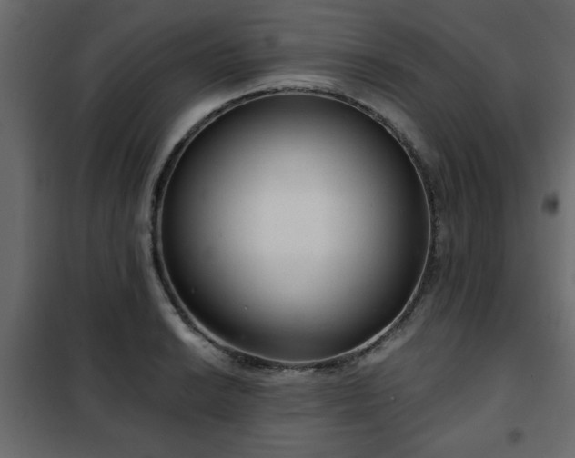 X0000102341038200808081126