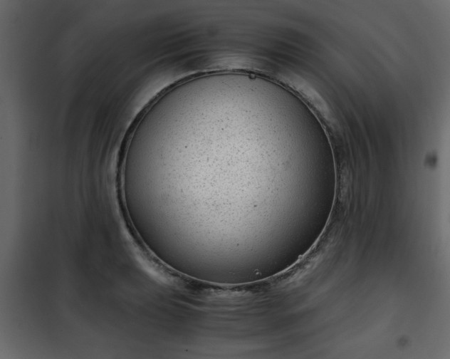 X0000102341039200808081126