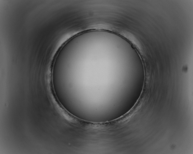 X0000102341040200808081126