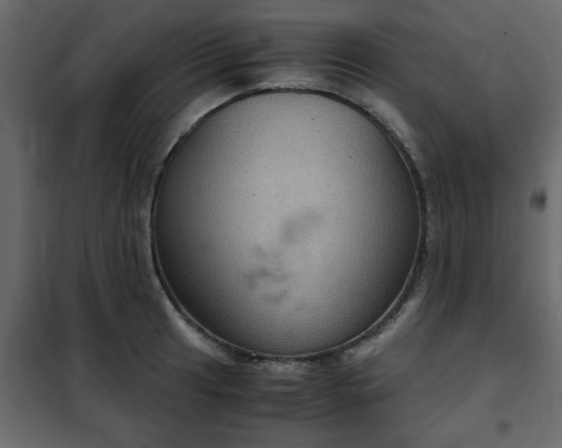 X0000102341041200808081126