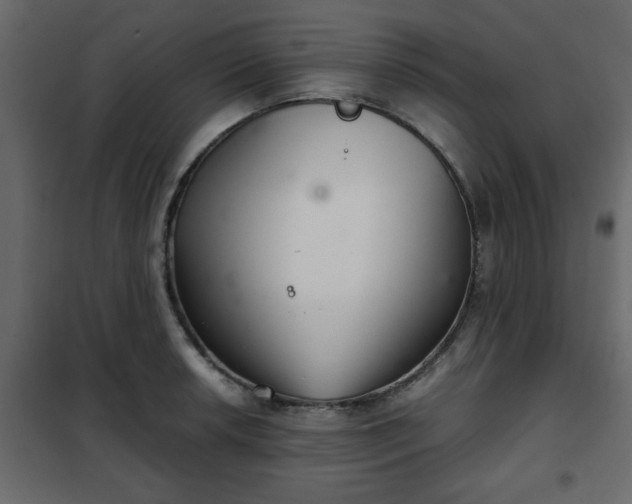 X0000102341042200808081126