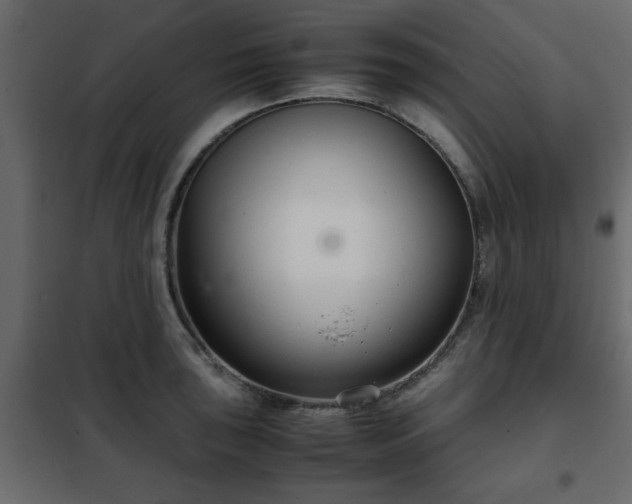 X0000102341043200808081126