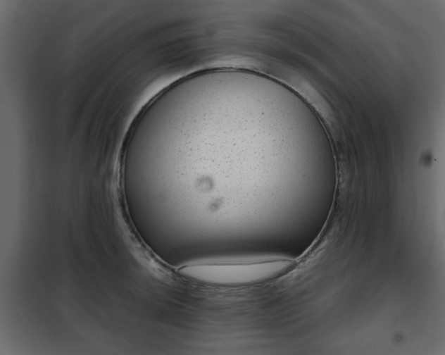 X0000102341044200808081126