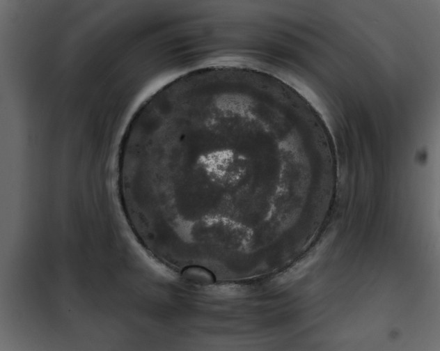 X0000102341045200808081126