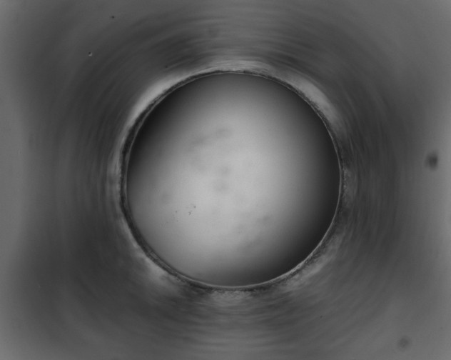 X0000102341046200808081126