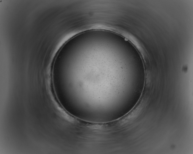 X0000102341048200808081126