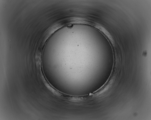 X0000102341049200808081126