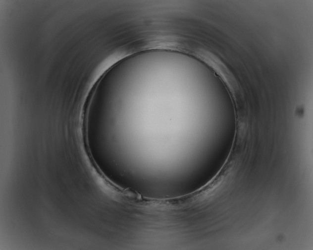 X0000102341050200808081126