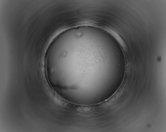 X0000102341051200808081126