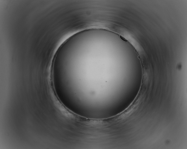 X0000102341052200808081126