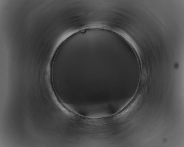 X0000102341053200808081126