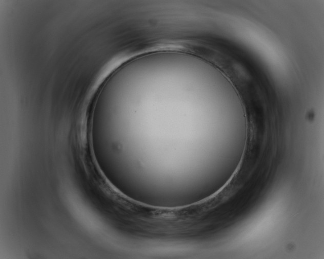 X0000102341054200808081126