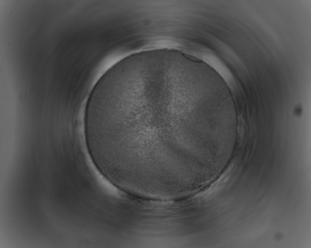 X0000102341055200808081126