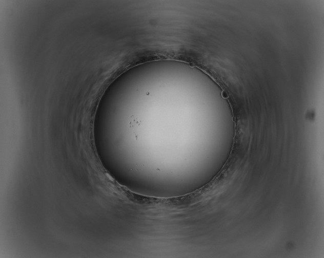 X0000102341057200808081126