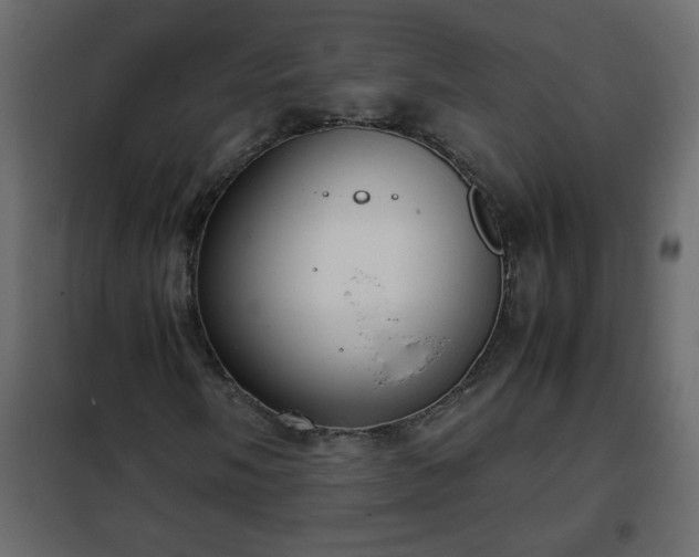 X0000102341058200808081126