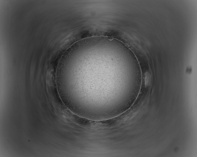 X0000102341059200808081126