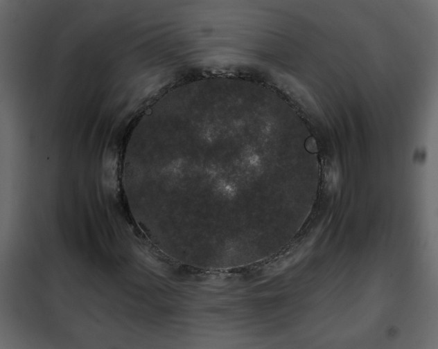 X0000102341060200808081126