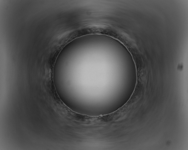 X0000102341061200808081126