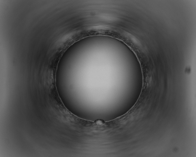 X0000102341062200808081126