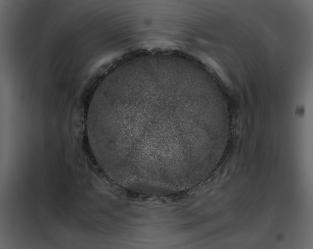 X0000102341063200808081126