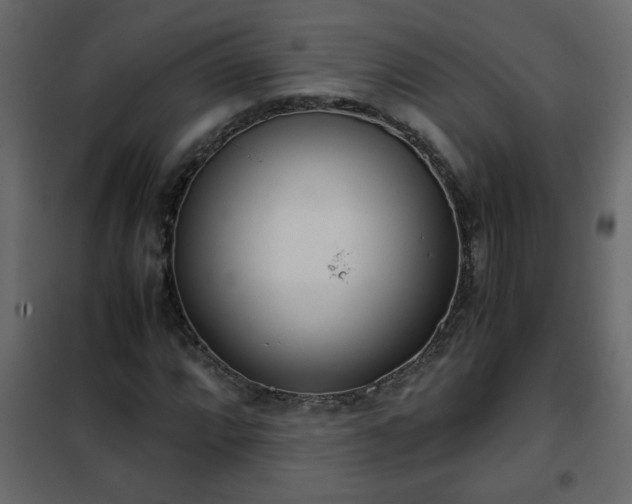 X0000102341064200808081126