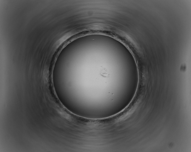 X0000102341065200808081126