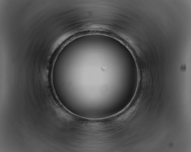 X0000102341066200808081126