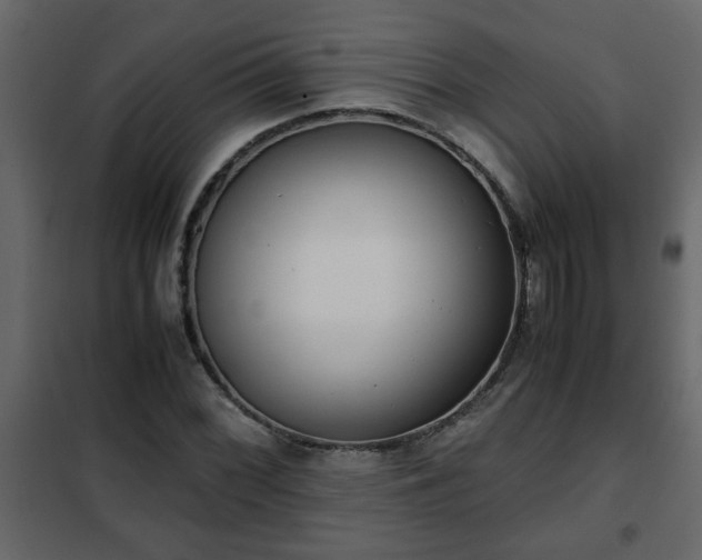 X0000102341068200808081125