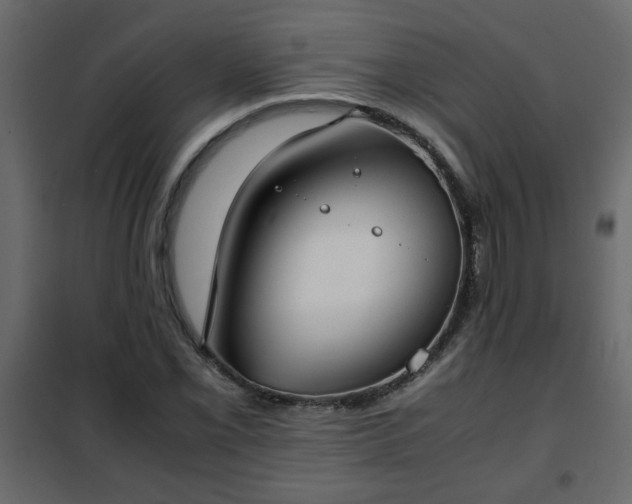 X0000102341069200808081125