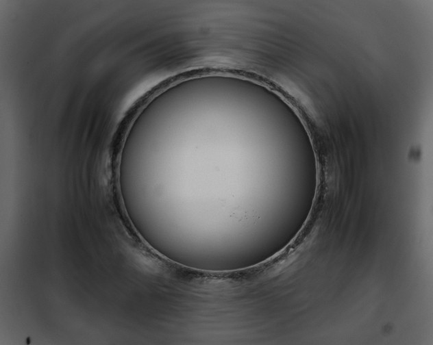 X0000102341070200808081125