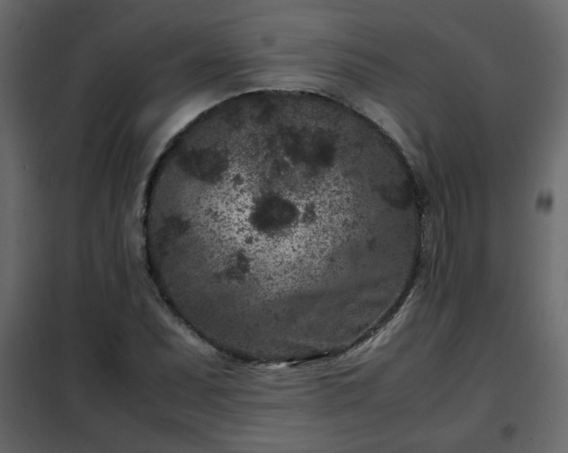 X0000102341071200808081125