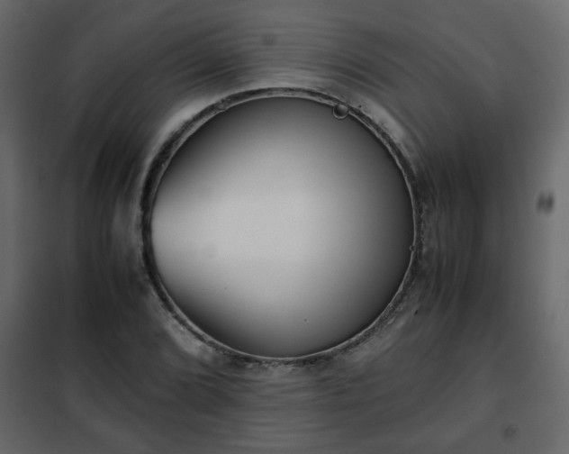 X0000102341072200808081125